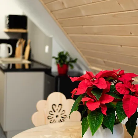 Habitación en casa particular Dom Pod Wierzbami, Balia Ogrodowa , Znizki Na Termy