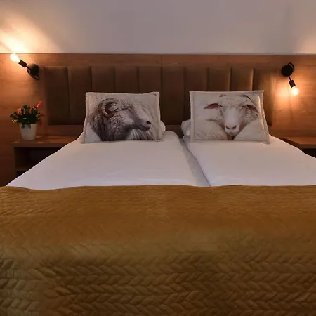 Homestay Dom Pod Wierzbami, Blisko Skibusa , Znizki Na Termy