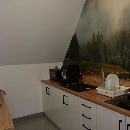 Dom Pod Wierzbami, Blisko Skibusa , Znizki Na Termy Homestay *