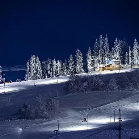Dom Pod Wierzbami, Blisko Skibusa , Znizki Na Termy Homestay *