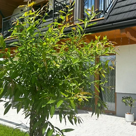 Dom Pod Wierzbami, Blisko Skibusa , Znizki Na Termy Homestay
